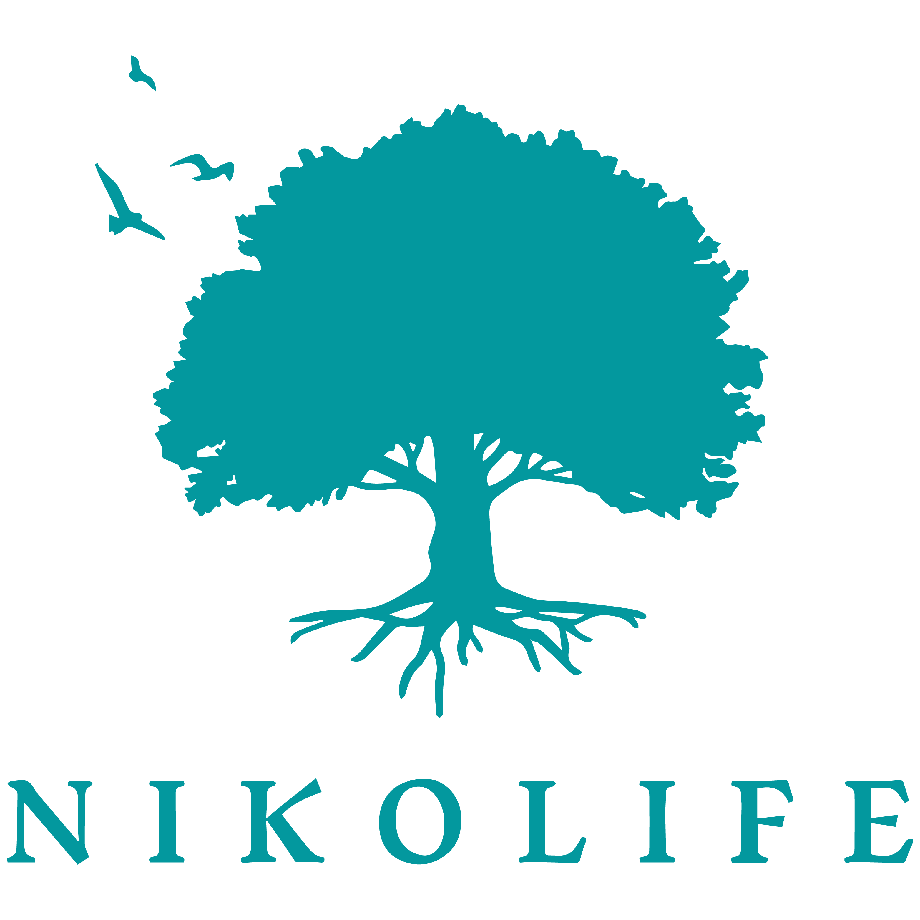 Nikolife Health